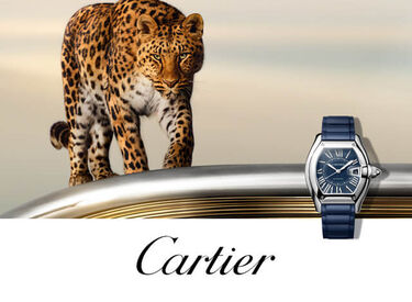 Shop Cartier watches