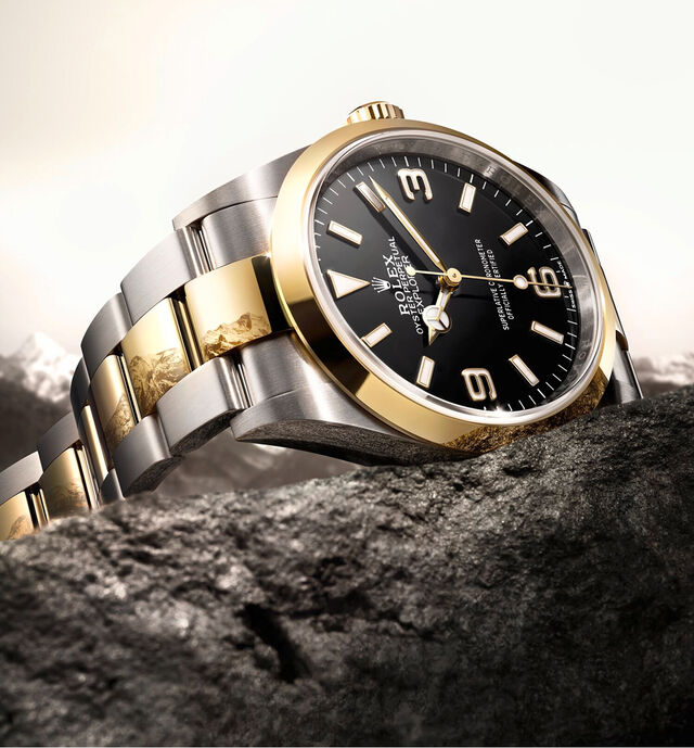 Explorer Landing - Tourneau | Bucherer