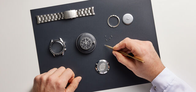 watch inspectors