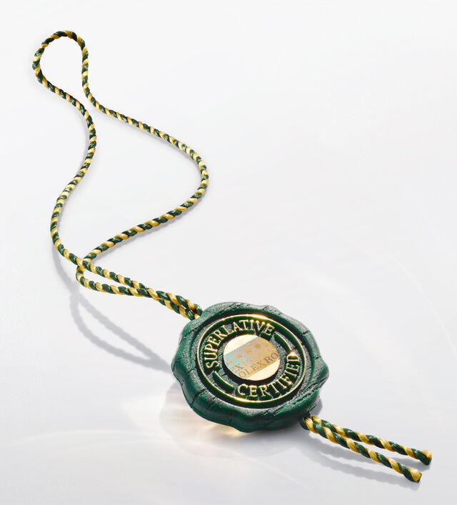 rolex new datejust 41 watches 2026&ndash; Bucherer