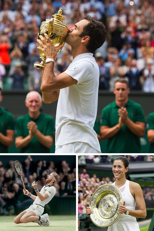 Wimbeldon Tennis Tournament