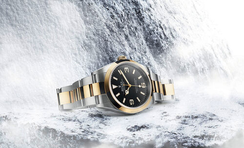 Rolex Explorer in Oystersteel and Yellow Gold