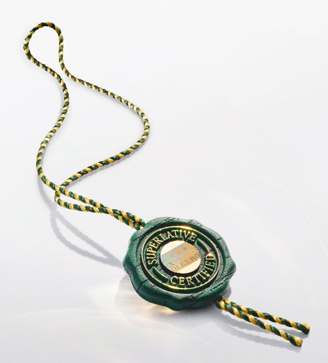 rolex new oyster perpetual 36 watches 2026&ndash; Bucherer