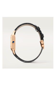 Santos-Dumont, Small Model