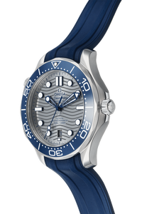 Seamaster Diver Co-Axial Stainless Steel Automatic