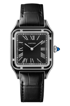 Santos-Dumont, Large Model