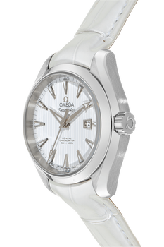 Seamaster Aqua Terra Co-Axial Stainless Steel Automatic
