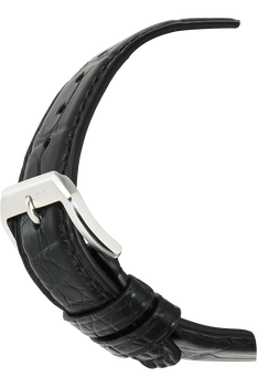 Portuguese Regulateur Limited Edition Platinum Manual