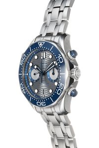 Diver 300M Stainless Steel Automatic
