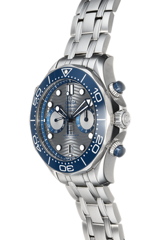 Diver 300M Stainless Steel Automatic