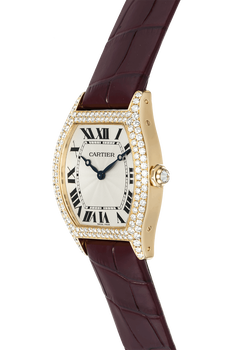 Tortue Yellow Gold Manual