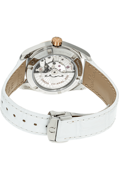 Seamaster Aqua Terra Rose Gold and Stainless Steel Automatic