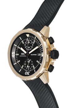 Aquatimer Chronograph Expedition Charles Darwin Bronze Automatic