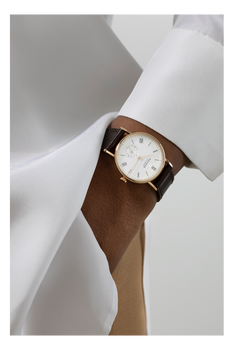 Ludwig gold 33
