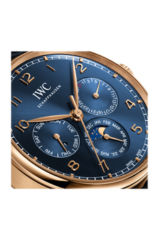 Portugieser Perpetual Calendar 42 Boutique Edition