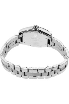 Roadster Stainless Steel Automatic