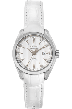 Seamaster Aqua Terra Co-Axial Stainless Steel Automatic