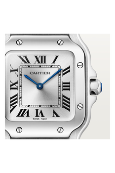 Santos de Cartier