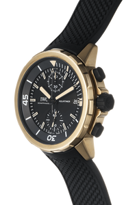 Aquatimer Chronograph Expedition Charles Darwin Bronze Automatic