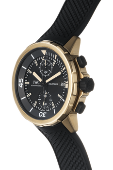 Aquatimer Chronograph Expedition Charles Darwin Bronze Automatic