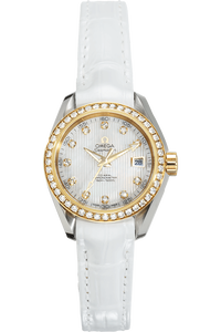 Seamaster Aqua Terra Co-Axial Yellow Gold and Stainless Steel Automatic