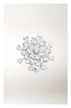 Firework Ring