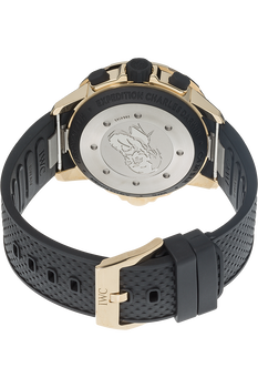 Aquatimer Chronograph Expedition Charles Darwin Bronze