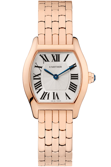 Tortue Small Manual