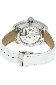 Seamaster Aqua Terra Co-Axial Stainless Steel Automatic
