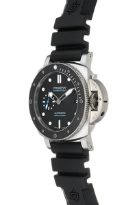 Submersible Stainless Steel Automatic