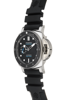 Submersible Stainless Steel Automatic