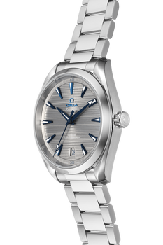 Seamaster Aqua Terra Co-Axial Stainless Steel Automatic