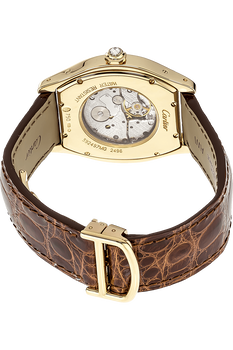 Tortue Yellow Gold Manual