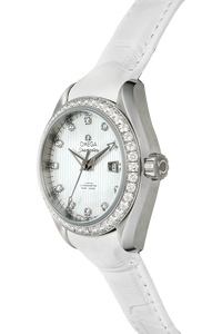 Seamaster Aqua Terra Co-Axial Stainless Steel Automatic