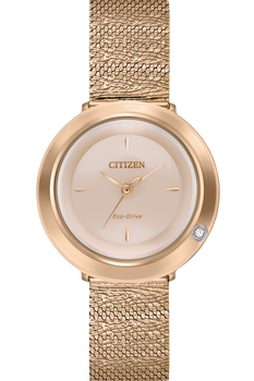 Citizen L Ambiluna