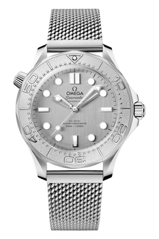 Seamaster Diver 300M