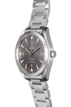 Railmaster Co-Axial Master Chronometer Stainless Steel Automatic
