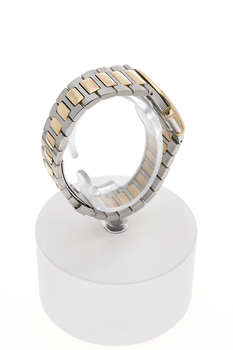Nautilus Yellow Gold and Stainless Steel Quartz