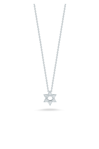 Tiny Treasures Pendant Tiny Treasures Pendant