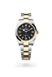 Explorer 36