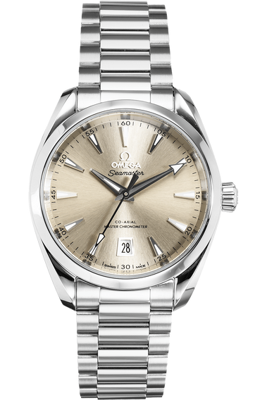 Aqua terra silver dial discount