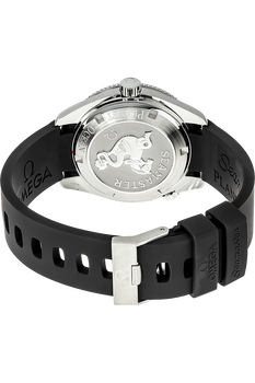 Seamaster Planet Ocean Stainless Steel Automatic