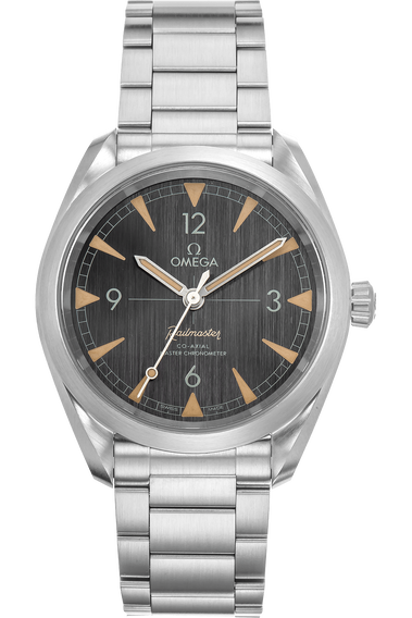 Railmaster Co-Axial Master Chronometer Stainless Steel Automatic