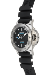 Submersible Stainless Steel Automatic