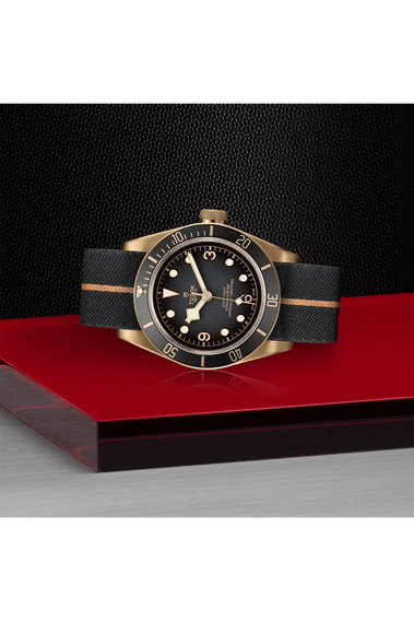 Black Bay Bronze