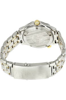 Seamaster Professional Yellow Gold and Stainless Steel Automatic