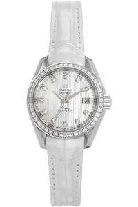 Seamaster Aqua Terra Co-Axial Stainless Steel Automatic