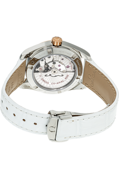 Seamaster Aqua Terra Co-Axial Rose Gold and Stainless Steel Automatic