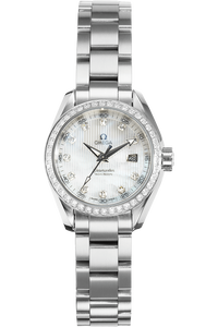 Aqua Terra Stainless Steel Quartz