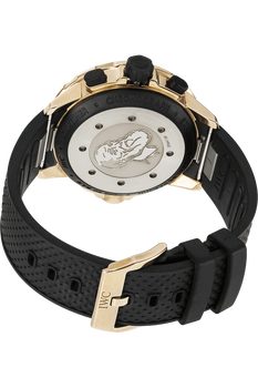 Aquatimer Chronograph Expedition Charles Darwin Bronze Automatic